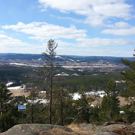 Gaestgivars Vandrarhem Och B&B Järvsö المظهر الخارجي الصورة